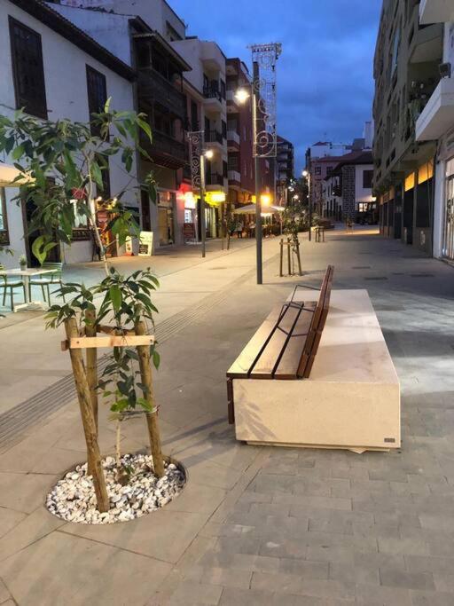 Estudio Con Amplia Terraza En Puerto De La Cruz Eksteriør billede